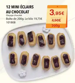 Gel 2000 12 MINI ÉCLAIRS AU CHOCOLAT offre