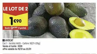 Avocat Hass