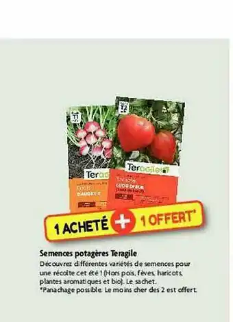 Semences Potagères Teragile