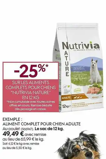 Aliments Complets Pour Chiens