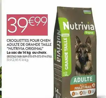 Truffaut Croquettes Pour Chien Adulte De Grande Taille offre