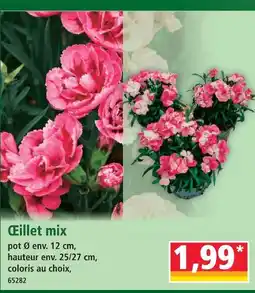 Norma Œillet mix offre