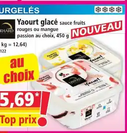 Norma Erhad yaourt glacé offre