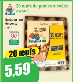 Norma Bureland 20 œufs de poules élevées au sol offre