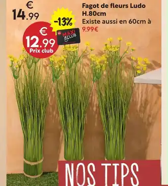 Fagot de fleurs ludo