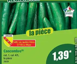 Norma Concombre offre