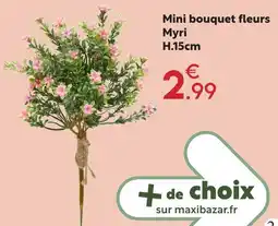 Maxi Bazar Mini bouquet fleurs myri offre