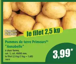 Norma Pommes de terre primeurs annabelle offre