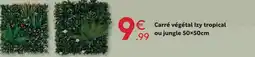 Maxi Bazar Carré végétal izy tropical ou jungle offre
