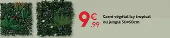 Maxi Bazar Carré végétal izy tropical ou jungle offre
