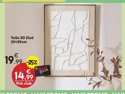Maxi Bazar Toile 3d ziad offre