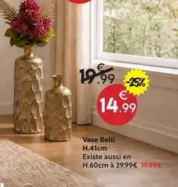 Maxi Bazar Vase belli offre