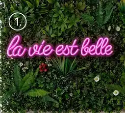 Maxi Bazar Néon la vie est belle led offre