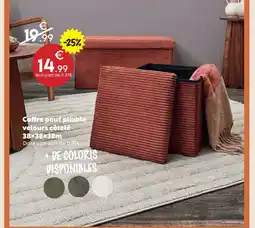 Maxi Bazar Coffre pouf pliable velours côtelé offre
