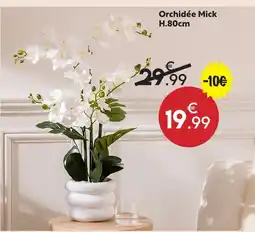 Maxi Bazar Orchidée mick offre