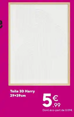 Maxi Bazar Toile 3d harry offre