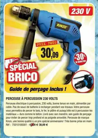 Outiror Perceuse à Percussion 230 Volts offre