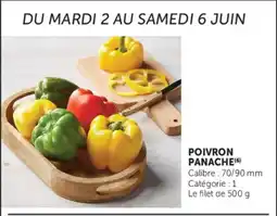 Super U POIVRON PANACHE offre