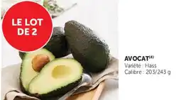 Super U AVOCAT offre