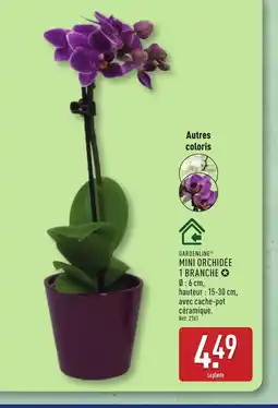 ALDI GARDENLINE Mini orchidée 1 branche offre