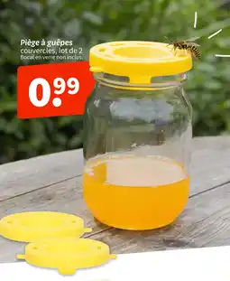 Wibra Piège à guêpes, couvercles, lot de 2 offre