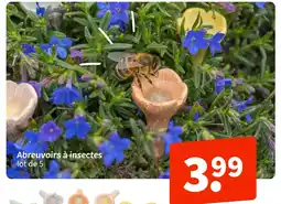 Wibra Abreuvoirs à insectes offre