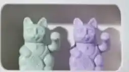 Centrakor Le chat chanceux offre