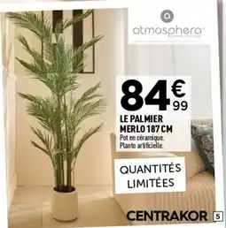 Centrakor Le palmier merlo offre