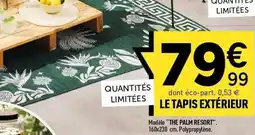 Centrakor Le tapis extérieur offre