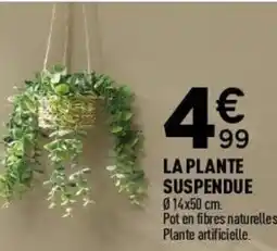 Centrakor La plante suspendue offre