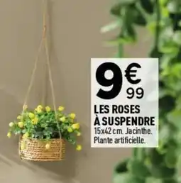 Centrakor Les roses à suspendre offre