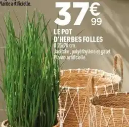 Centrakor Le pot d'herbes folles offre