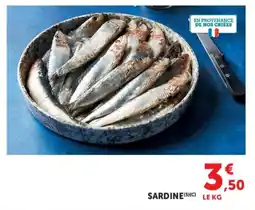 Super U Sardine offre