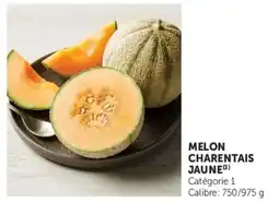 Super U Melon charentais jaune offre