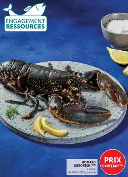 U Express Homard européen offre