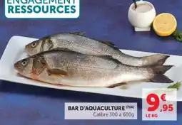 U Express Bar d'aquaculture offre