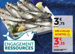 U Express Sardine offre