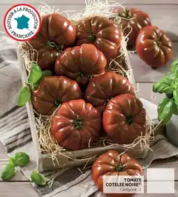 U Express Tomate cotelee noire offre