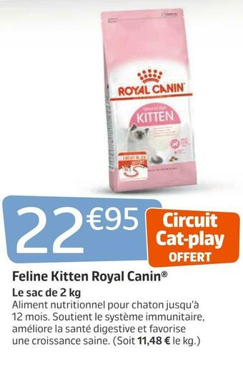Jardiland Royal canin feline kitten offre