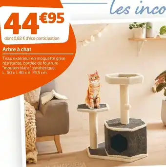 Jardiland Arbre à chat offre
