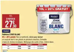 Bricorama Peinture xtrem blanc offre