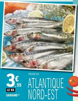 E.Leclerc Sardine offre