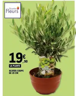 E.Leclerc Olivier coupe offre