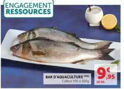 Hyper U Bar d'aquaculture offre
