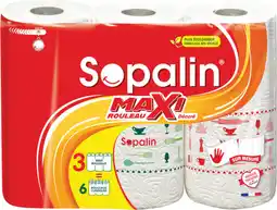 Auchan Sopalin essuie tout décoré sopalin offre