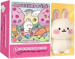 Auchan Sansmarque coffret cosy colo offre