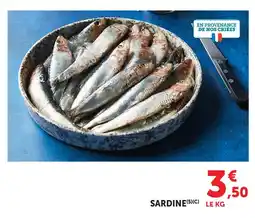 U Express Sardine offre