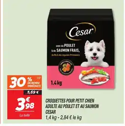 Netto CESAR Croquettes pour petit chien adulte au poulet et au saumon offre