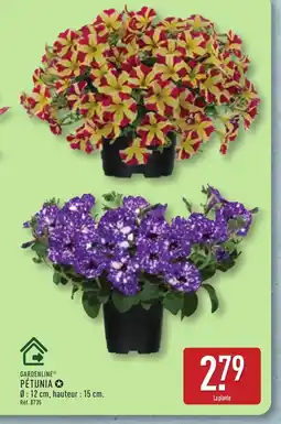 ALDI GARDENLINE Pétunia offre