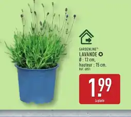 ALDI GARDENLINE Lavande offre